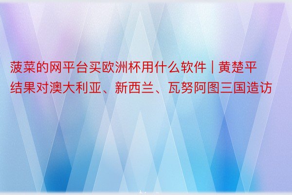 菠菜的网平台买欧洲杯用什么软件 | 黄楚平结果对澳大利亚、新西兰、瓦努阿图三国造访