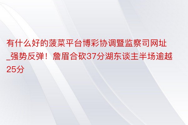 有什么好的菠菜平台博彩协调暨监察司网址_强势反弹！詹眉合砍3