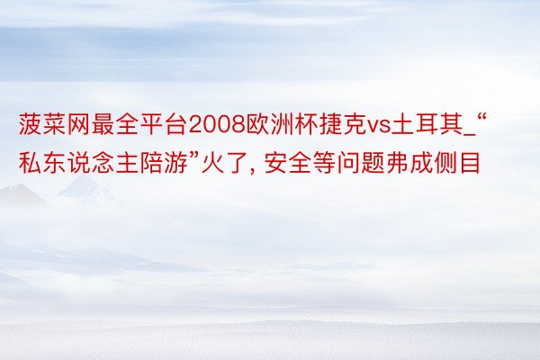 菠菜网最全平台2008欧洲杯捷克vs土耳其_“私东说念主陪游